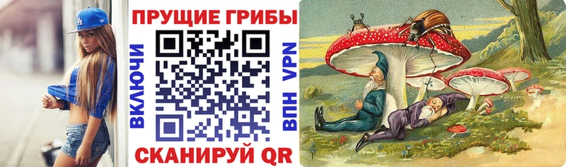 Галлюциногенные грибы MAGIC MUSHROOMS  закладки  Нолинск 